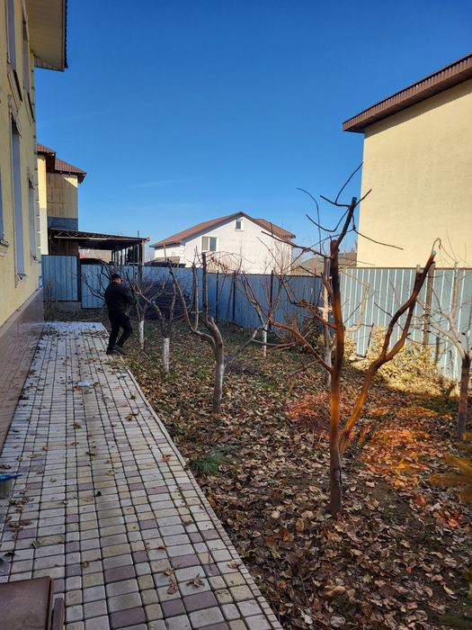 Обрезка плодовых деревьев