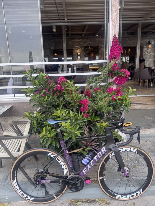 Cursiera Factor Ostro Vam 2  di2 SL