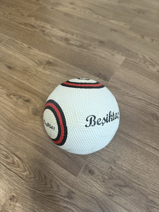 Minge de pe stadionul Besiktas