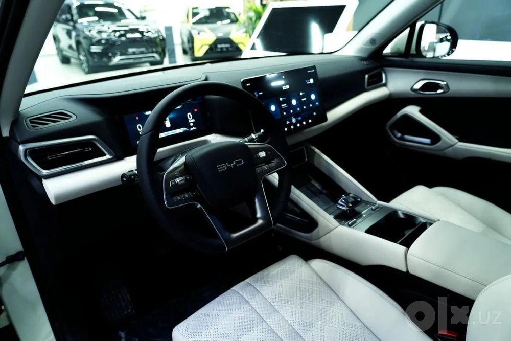 Byd yuan up 2025