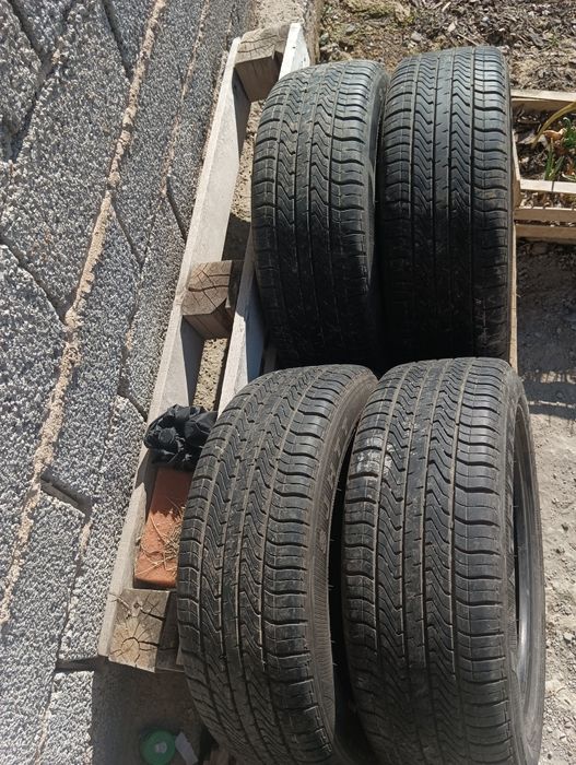 Автомобильные шины