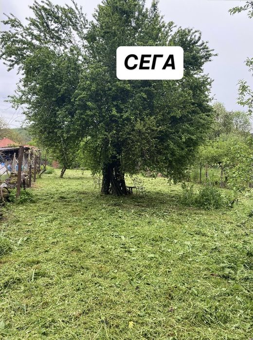 Косене и поддръжка на имоти