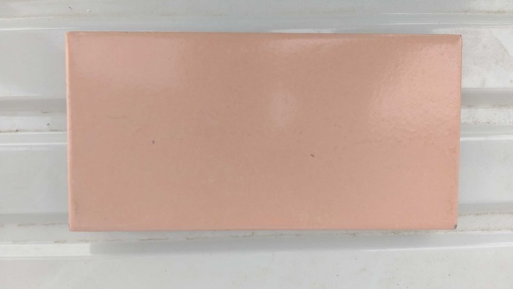 Гранитогрес 20х10 см.