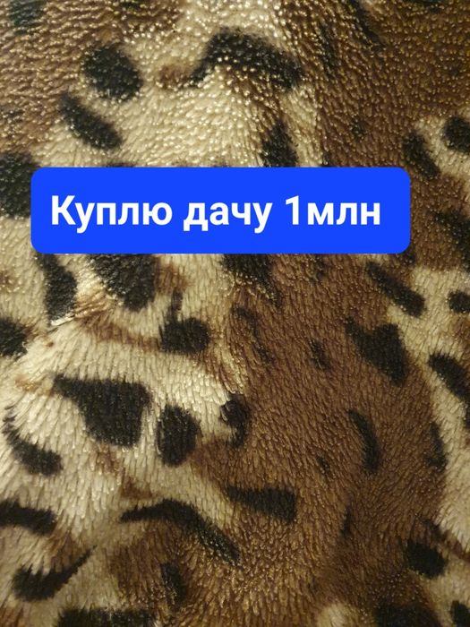 Дача срочно срочно