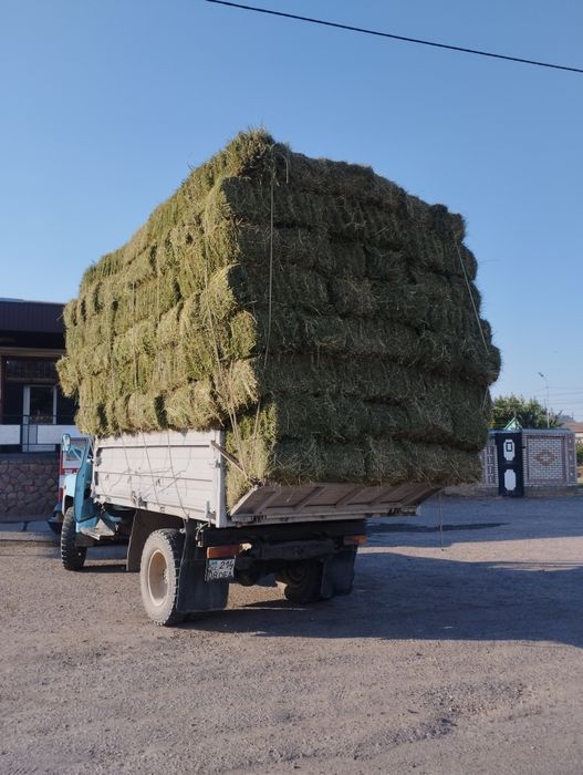 Газ 53 сатылады срочно