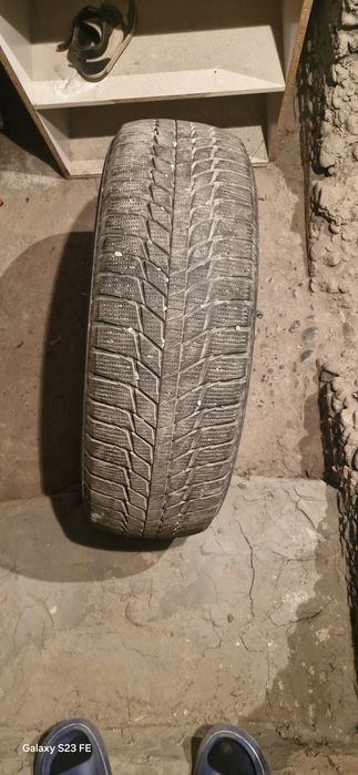 Зимняя резина Triangle