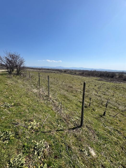 Топ!Земеделска земя от собственик