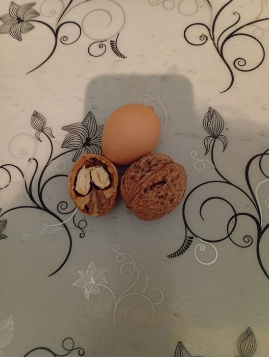 Продам орехи из домашнего сада