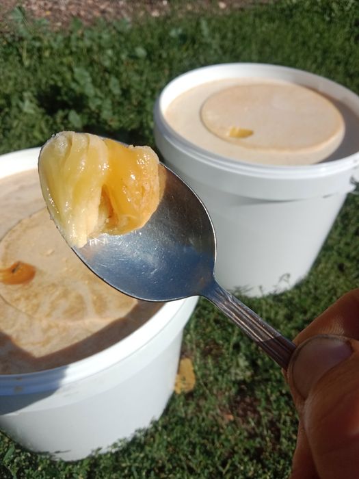 Мед Алтайский оптом