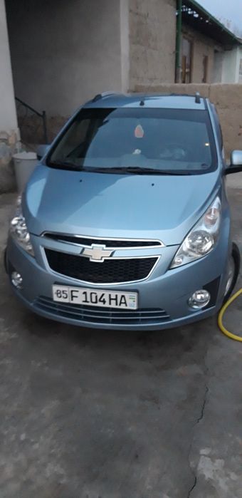 спарк делфин ранг