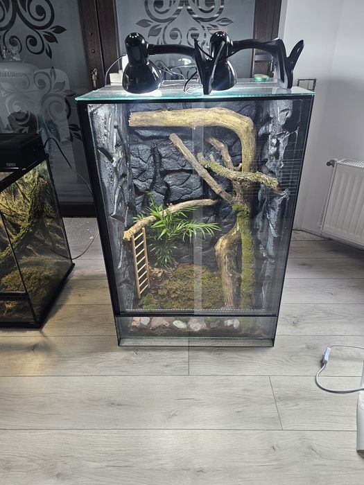 Terarii diferite dimensiuni