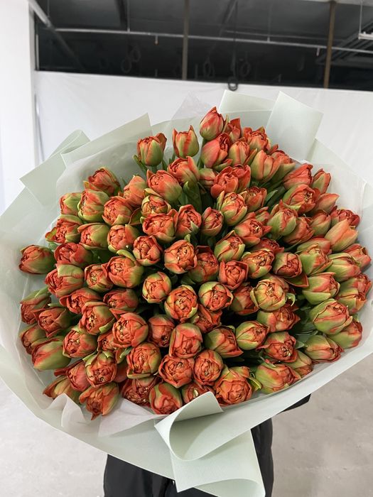 Тюльпаны белорусские оптом