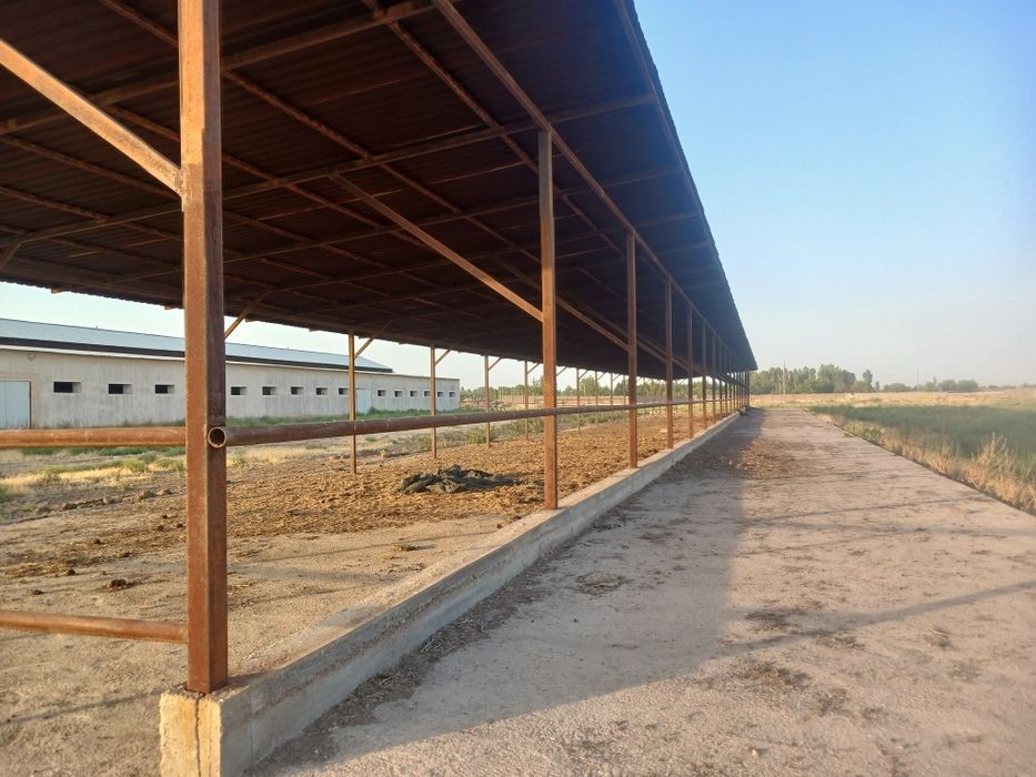 Здание и сооружение, Большая современная ферма