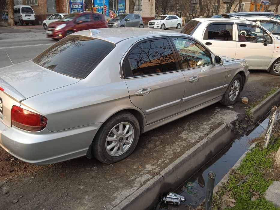 Hyundal holati yahwi