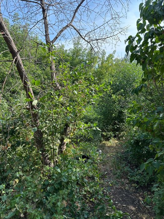 Продам дачный участок 12 соток