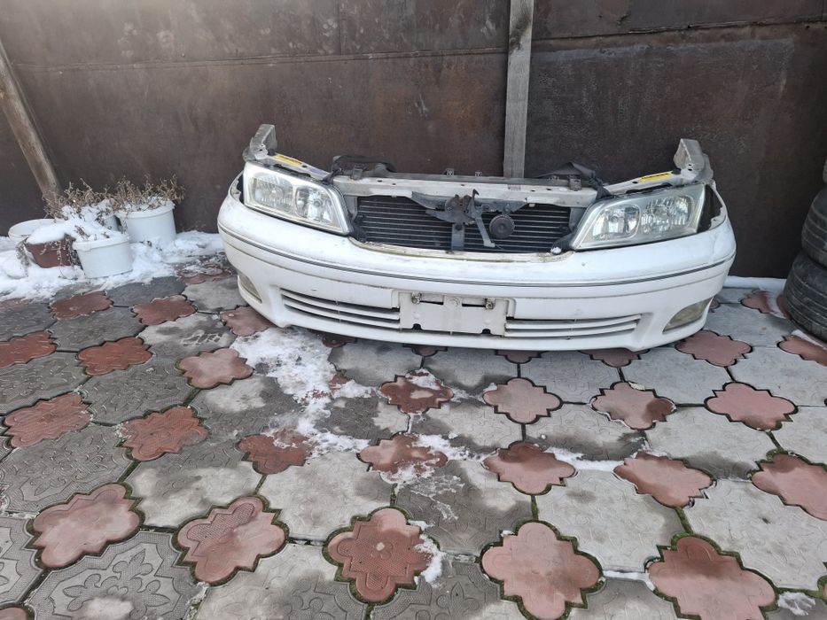 Ноускат Mark2 Qualis  рестаил