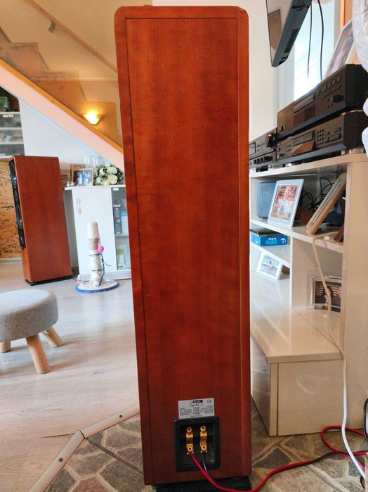 High-End Canton Ergo RC-S – Като нови, Първи собственик, Real Wood