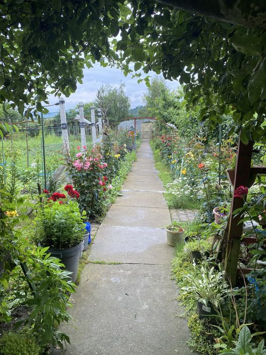 Casa individuala cu teren generos si livada Miercurea Sibiului