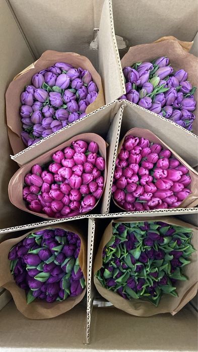 Крупные тюльпаны, доставка, корпоративные заказы, Kaspi Red