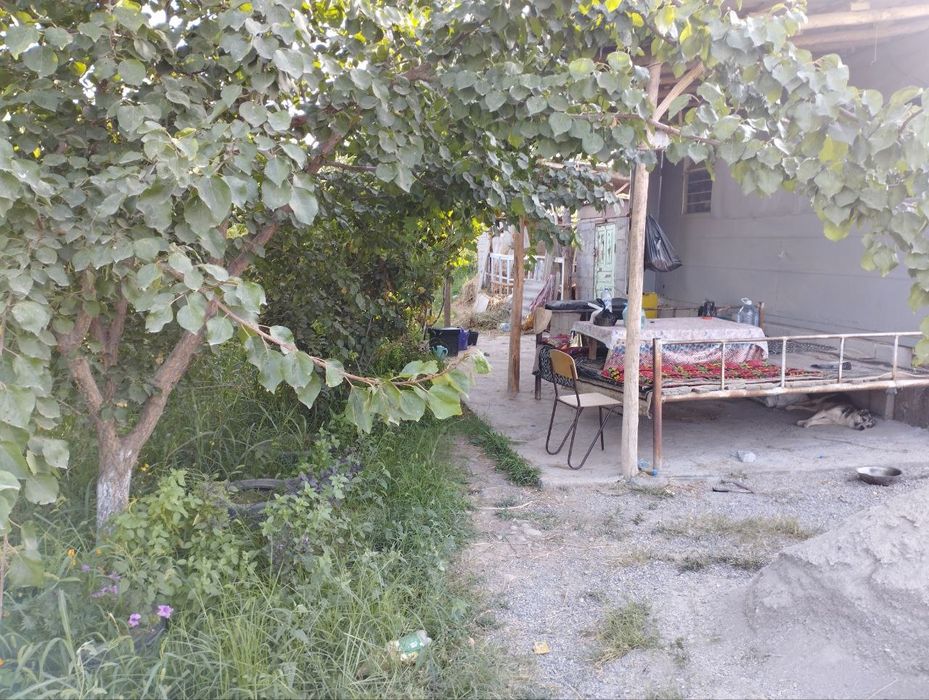 Бог сотилади Фаргона Кува йулида