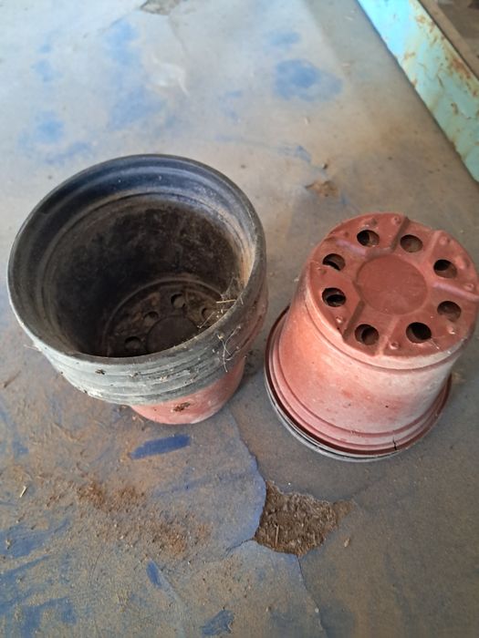 Стаканчики для рассады