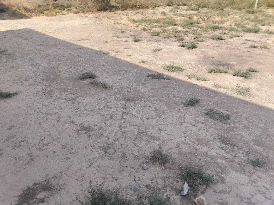 Yer sotiladi 10 sotix