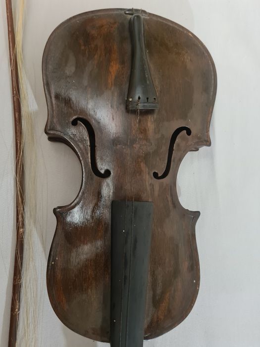 ЦИГУЛКА -много стара