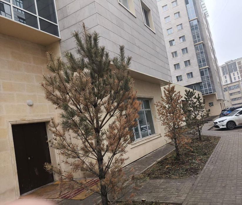 6 комн возле триумфальной арки