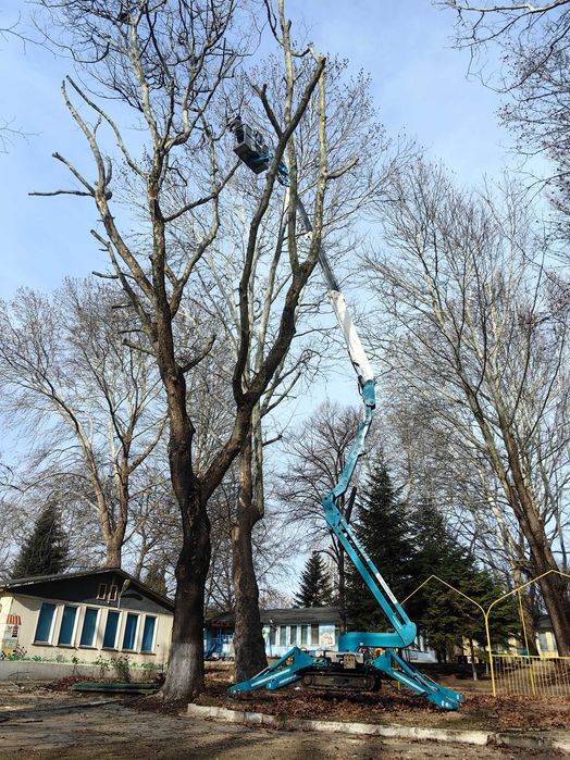 Рязане на опасни дървета Варна