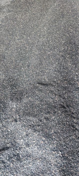 Царевица ,ечемик, слънчоглед  и пшеница