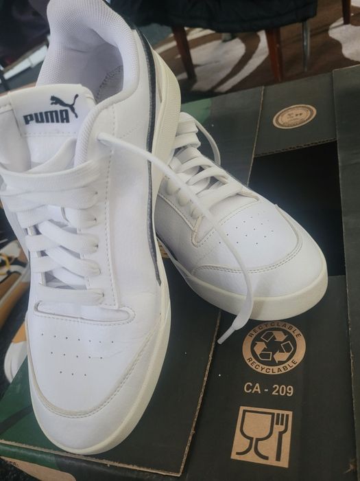 Tenesi puma originali