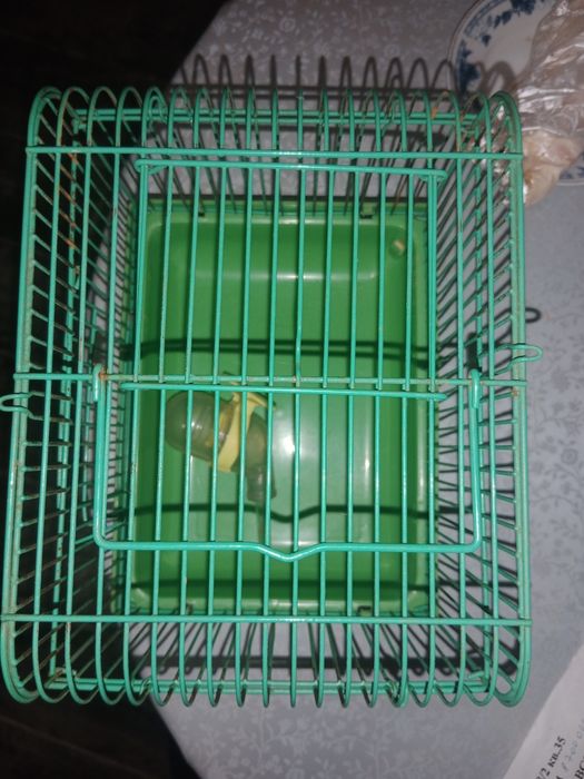 Клетка для джунгарского хомячка