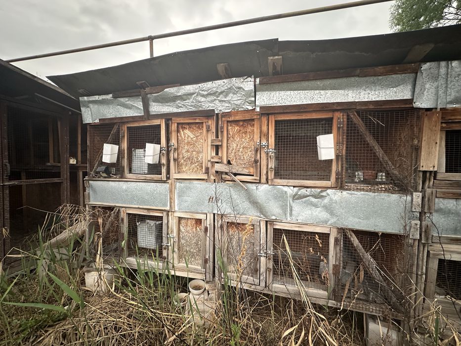 Клетки для кролов , крольчатник