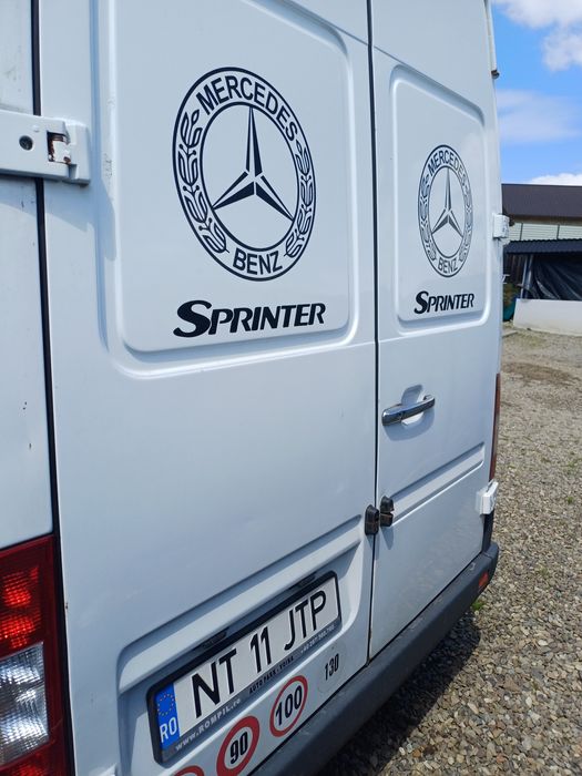 Vand sprinter 313