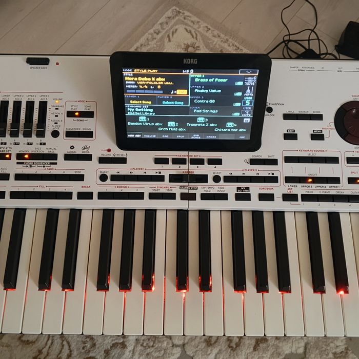 Korg Pa4 X cu Husa noua Korg , peda EC5 si peda sustain