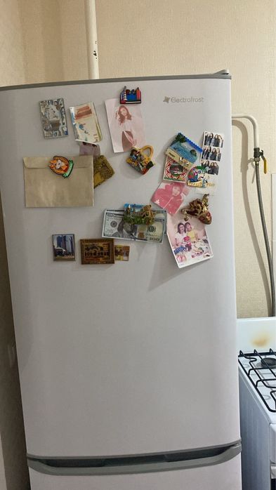 Холодильник Electrofrost