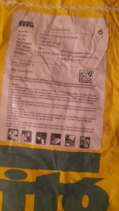 Семена кукуруза на селус