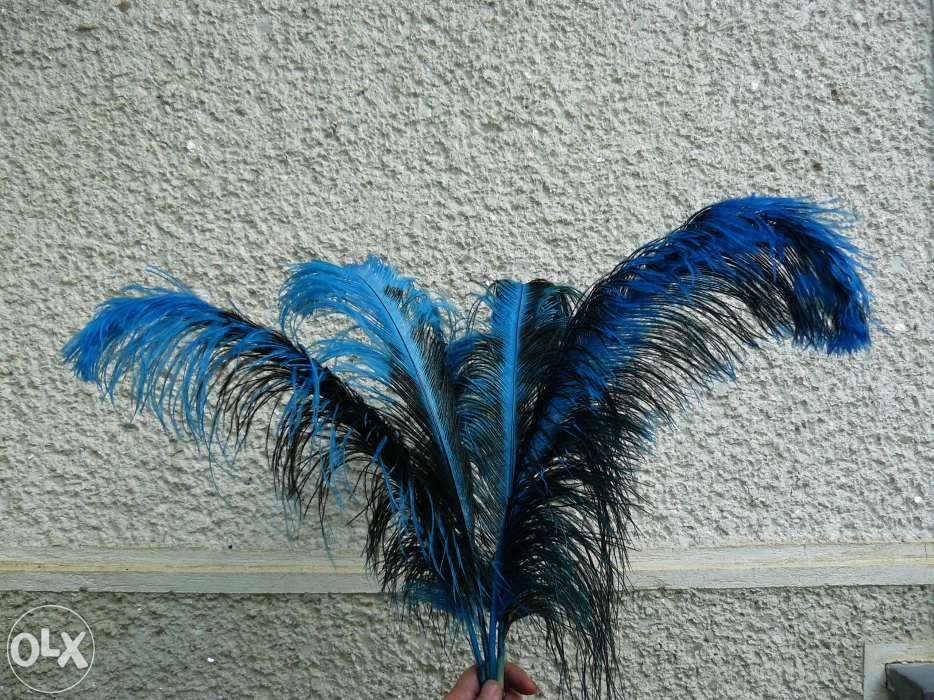 Vand Pene de strut.