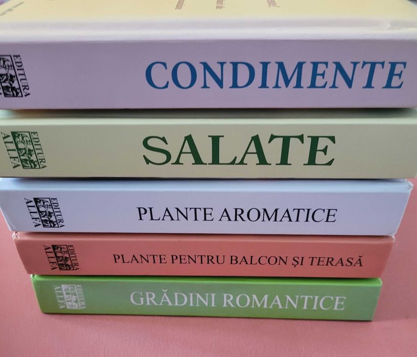 Pachet 5 cărți Dictionarul Dumont