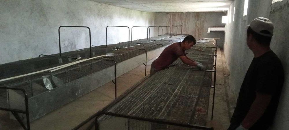 1000 дон қуёнга мулжалланган  клетка(қафас)лар арзон нархларда сотилад