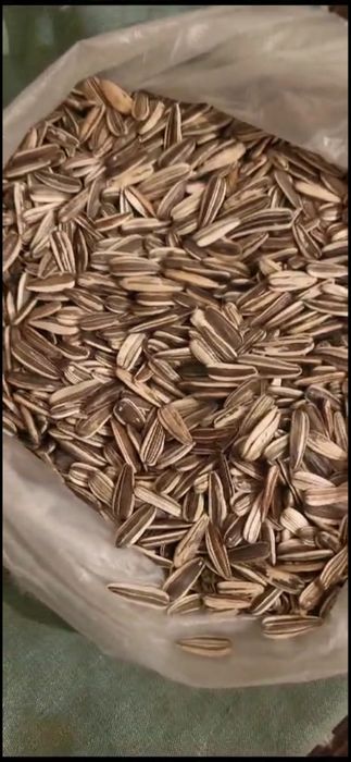 Месный сорт, семечка бар, адрес ТОРТКОЛ де..!