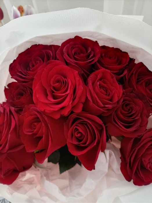 Продам цветы розы