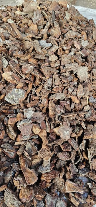 Scoarta măruntă decorativă naturală