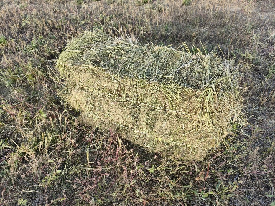 Продам разнотравие в тюках