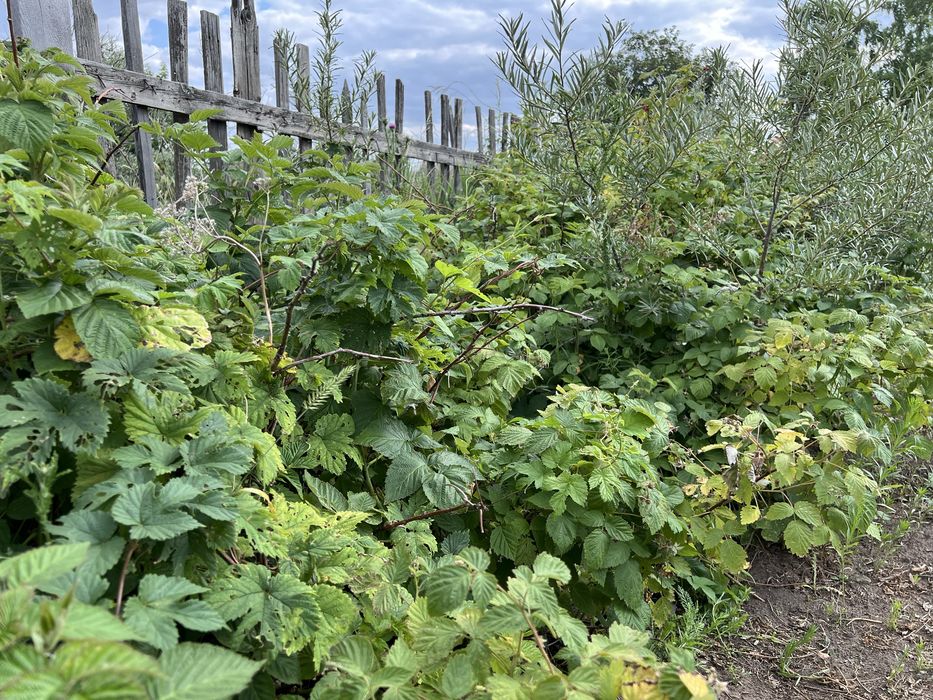 Дача в Садовод-Строитель