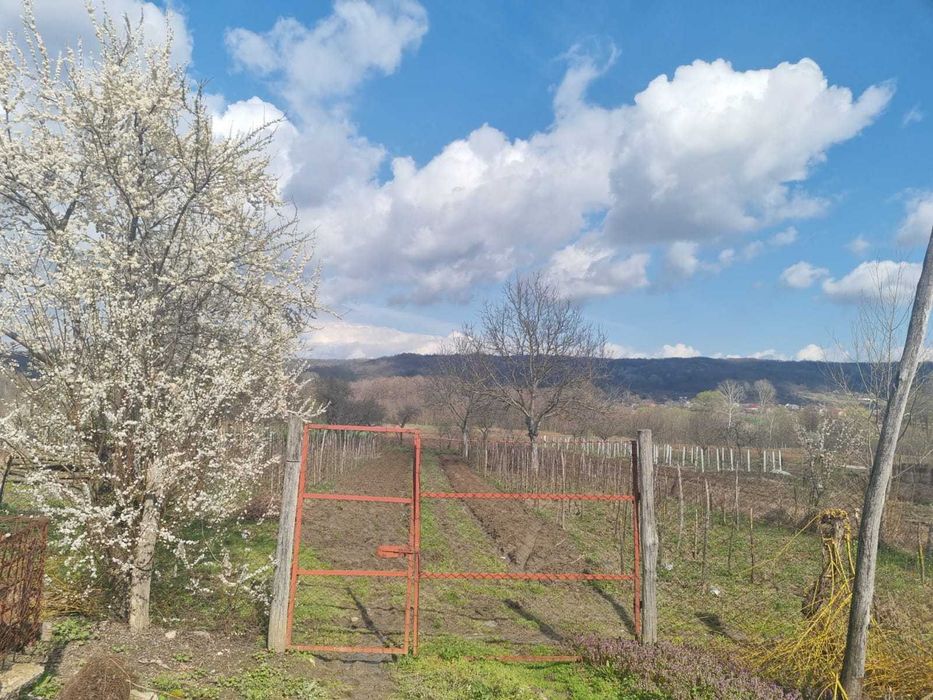 Casă de vânzare  Comuna Crețeni, județul Vâlcea la 12 km de Dragasani,