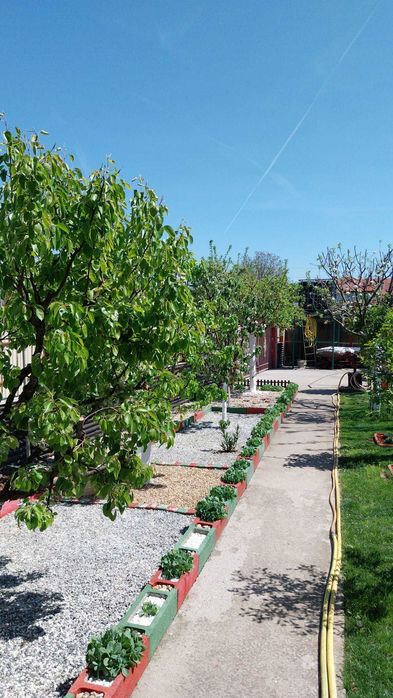 Casa de Vanzare Buftea