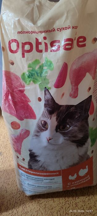 Сухой корм для кошек