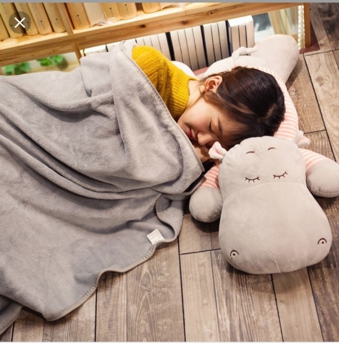 Акция. Плед, подушка, игрушка 3в1. Доставка по городу бесплатная!