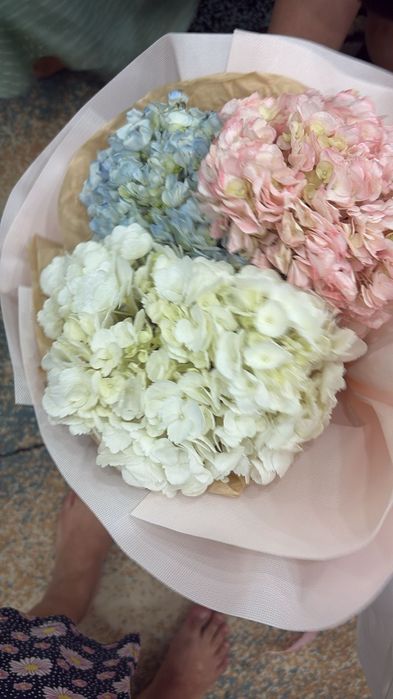 Продам цветы , букеты